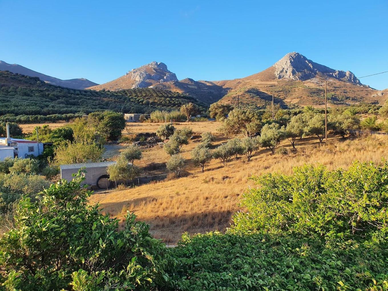 Preveli Hills Apartments Levkogia ภายนอก รูปภาพ